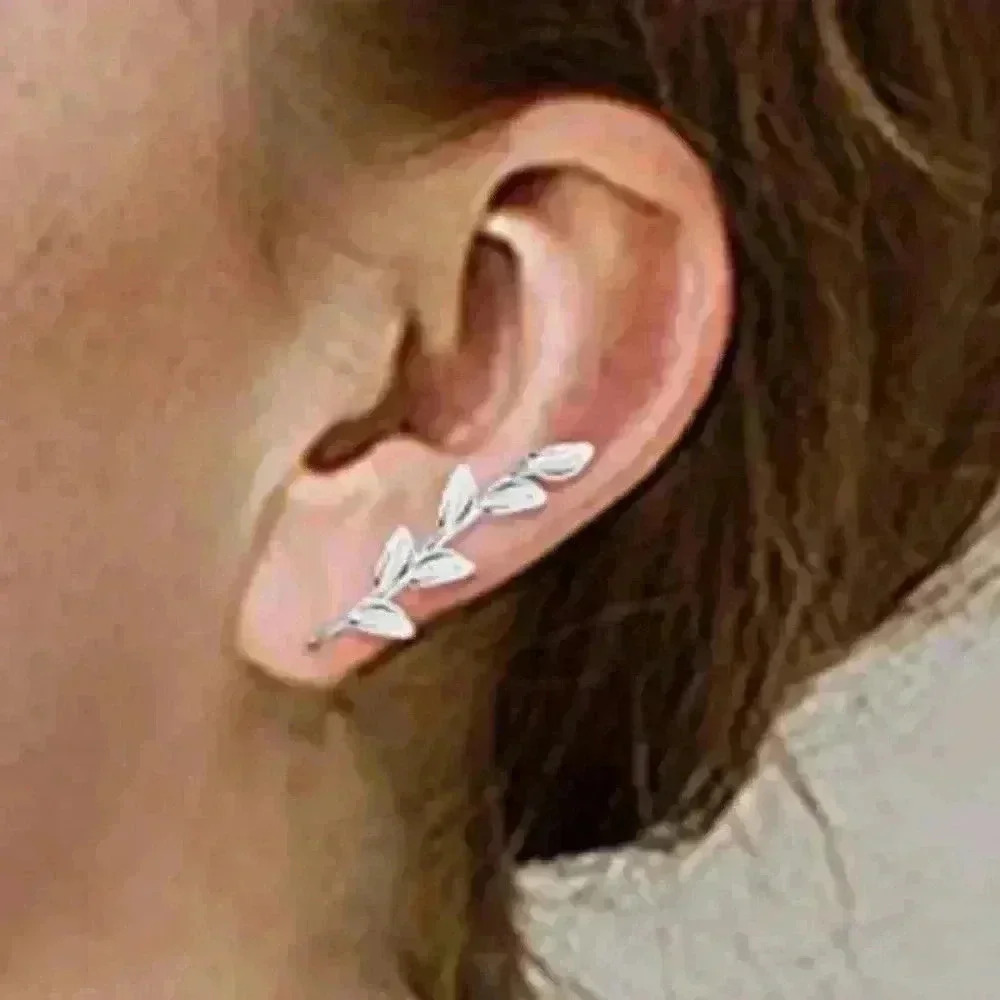 Ear CZ climber Earrings
